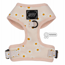 Load image into Gallery viewer, Adjustable Harness