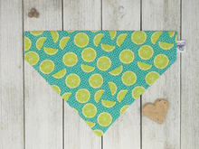 Load image into Gallery viewer, Over-The-Collar Dog Bandana