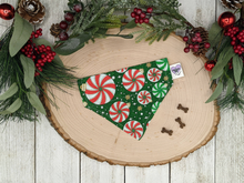 Load image into Gallery viewer, Over-The-Collar Dog Bandana