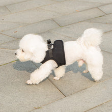 Load image into Gallery viewer, Mr. Peanut's PupTrek Small Dog/Cat Soft Mesh Step In Harness Vest