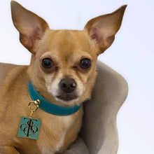 Load image into Gallery viewer, Sniff & Co. NYC Logo Collar