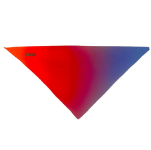 Load image into Gallery viewer, Sport Bandana