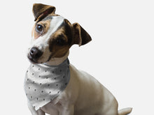 Load image into Gallery viewer, Ghosts Galore!