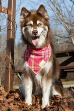 Load image into Gallery viewer, Wine Plaid Dog Bandana