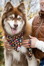 Load image into Gallery viewer, Woodland Tales Dog Bandana & Matching Keychain