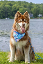 Load image into Gallery viewer, Painted Peaks Dog Bandana & Matching Keychain