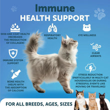 Load image into Gallery viewer, L Lysine for Cats Lysine Powder Supplement