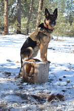 Load image into Gallery viewer, Military Dog Tactical Harness, Collar, and Leash Gear (Complete Set)