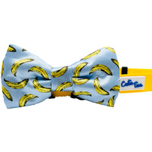 Load image into Gallery viewer, Cutie Ties Dog Bow Tie
