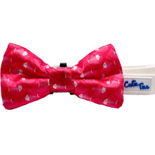 Load image into Gallery viewer, Cutie Ties Dog Bow Tie
