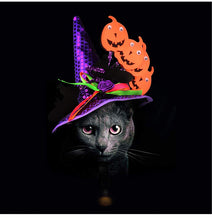 Load image into Gallery viewer, Dogs Cats Halloween Hats Pumpkin Headgear
