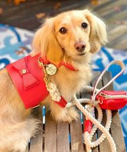 Load image into Gallery viewer, Dog Harness
