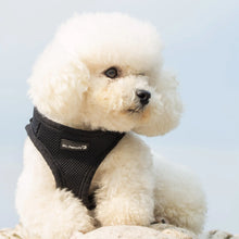 Load image into Gallery viewer, Mr. Peanut&#39;s PupTrek Small Dog/Cat Soft Mesh Step In Harness Vest
