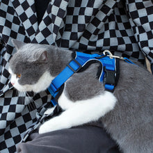 Load image into Gallery viewer, Mr. Peanut's PurrTrek Reflective Cat Harness with Matching Leash
