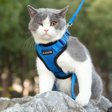 Load image into Gallery viewer, Mr. Peanut&#39;s PurrTrek Reflective Cat Harness with Matching Leash
