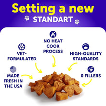Load image into Gallery viewer, Dog Multivitamin Chewable With Glucosamine 20 In 1 Dog Vitamins And Supplements Senior &amp; Puppy Multivitamin For Dogs Pet Joint Support Health Immunity Mobility Gut Skin 120 Chews
