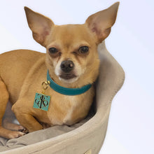 Load image into Gallery viewer, Sniff &amp; Co. NYC Logo Collar
