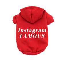 Load image into Gallery viewer, IG Famous Hoodie
