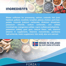 Load image into Gallery viewer, Forza10 ActiWet Dermo Icelandic Fish Recipe Canned Dog Food
