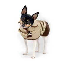 Load image into Gallery viewer, &quot;Classic Mocha Latte&quot; - DCNY Equestrian Collection
