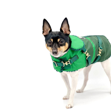Load image into Gallery viewer, &quot;Green with Envy&quot; - DCNY Equestrian Collection
