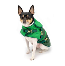 Load image into Gallery viewer, &quot;Green with Envy&quot; - DCNY Equestrian Collection
