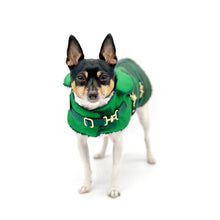 Load image into Gallery viewer, &quot;Green with Envy&quot; - DCNY Equestrian Collection
