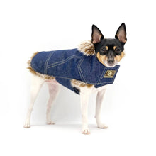 Load image into Gallery viewer, DCNY Faux Fur Denim Coat
