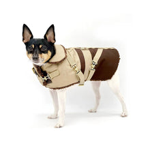 Load image into Gallery viewer, &quot;Classic Mocha Latte&quot; - DCNY Equestrian Collection
