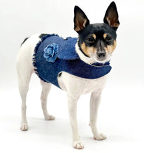 Load image into Gallery viewer, DCNY Harness Vest
