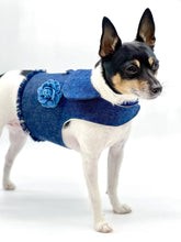 Load image into Gallery viewer, DCNY Harness Vest
