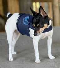 Load image into Gallery viewer, DCNY Harness Vest
