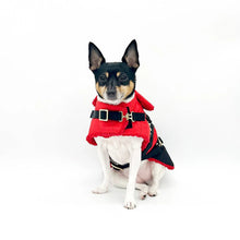Load image into Gallery viewer, &quot;Ruby Red&quot; - DCNY Equestrian Collection
