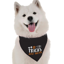 Load image into Gallery viewer, No Tricks, Just Treats
