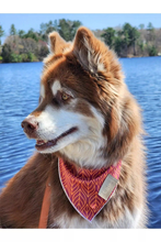 Load image into Gallery viewer, Twilight Trails Dog Bandana
