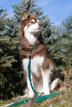 Load image into Gallery viewer, Siberian Spruce Waterproof Dog Leash
