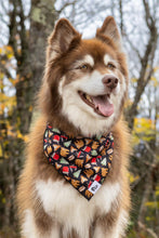 Load image into Gallery viewer, Woodland Tales Dog Bandana &amp; Matching Keychain
