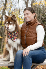 Load image into Gallery viewer, Woodland Tales Dog Bandana &amp; Matching Keychain
