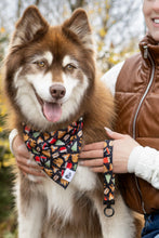 Load image into Gallery viewer, Woodland Tales Dog Bandana &amp; Matching Keychain
