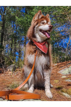 Load image into Gallery viewer, Twilight Trails Bandana &amp; Matching Keychain
