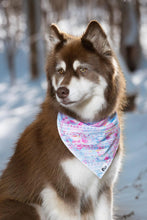 Load image into Gallery viewer, Pink and Blue Tribal Dog Bandana &amp; Matching Keychain
