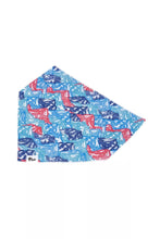 Load image into Gallery viewer, Painted Peaks Dog Bandana &amp; Matching Keychain
