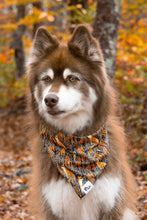 Load image into Gallery viewer, Foxes in Fall Dog Bandana &amp; Matching Keychain

