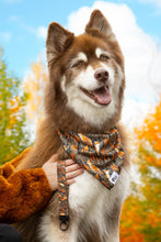 Load image into Gallery viewer, Foxes in Fall Dog Bandana &amp; Matching Keychain
