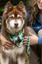 Load image into Gallery viewer, Evergreen Explorer Dog Bandana &amp; Matching Keychain
