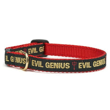 Load image into Gallery viewer, Up Country Evil Genius Cat Collar
