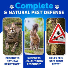 Load image into Gallery viewer, Flea Treatment for Cats Natural Flea and Tick
