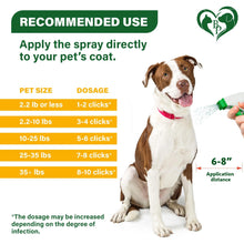 Load image into Gallery viewer, Natural Flea and Tick Home Spray for Dogs Cats &amp; Ferret Mosquito Bug Repellent &amp; Carpet Flea Killer Pet Pest Control &amp; House Flea Treatment Indoor Org
