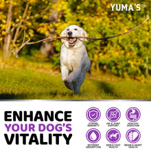 Load image into Gallery viewer, Dog Multivitamin Chewable with Glucosamine
