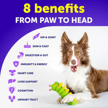 Load image into Gallery viewer, Dog Multivitamin Chewable With Glucosamine 20 In 1 Dog Vitamins And Supplements Senior &amp; Puppy Multivitamin For Dogs Pet Joint Support Health Immunity Mobility Gut Skin 120 Chews
